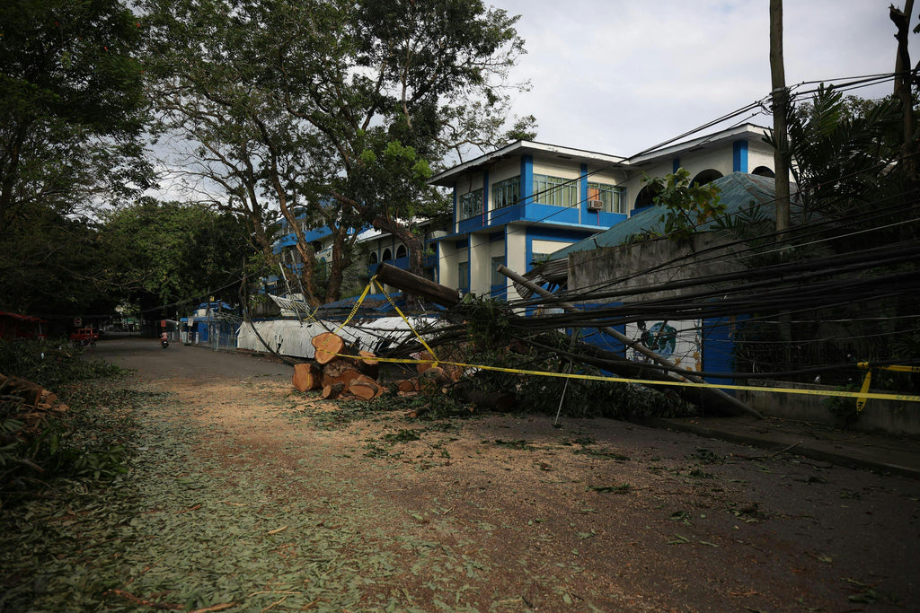 The Importance of Being Prepared: Lessons from Hurricane Beryl