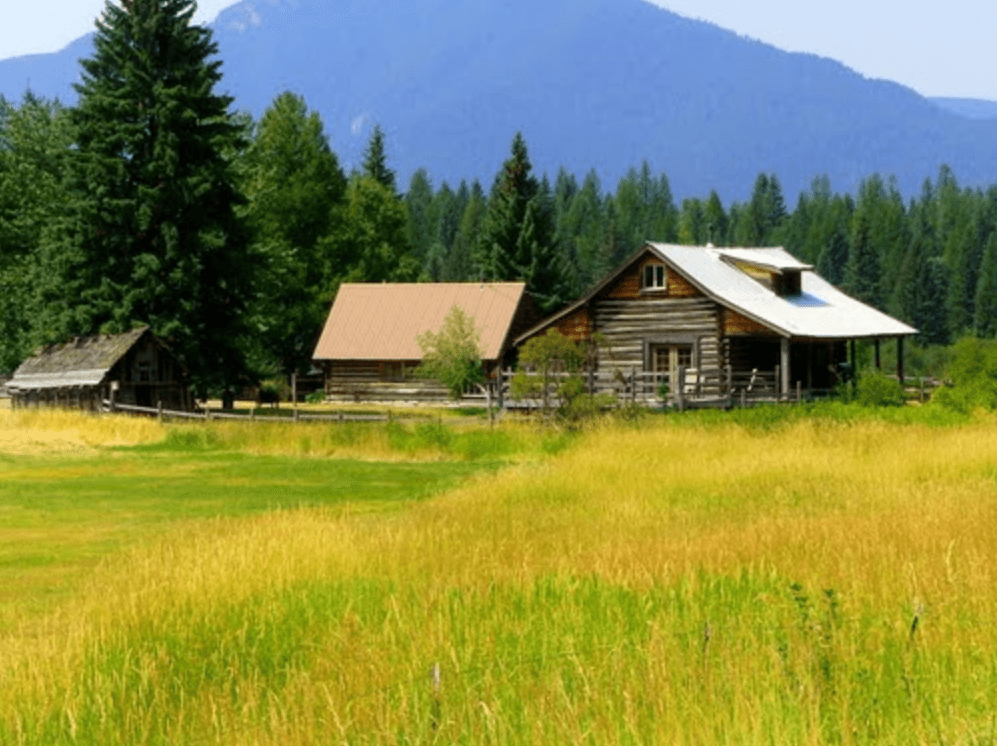 How to Get Closer to Having a Self-Sufficient Homestead