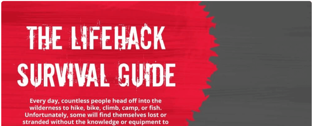 Life Hack Survival Guide Infographic
