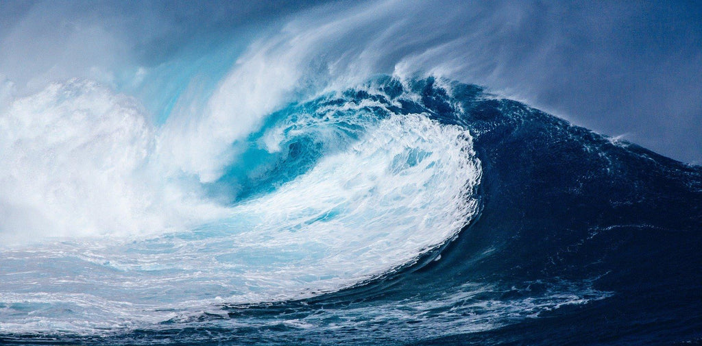 Preparing for a Tsunami