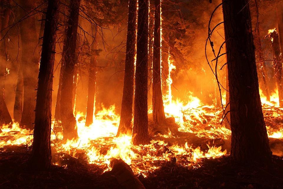 Preparing for a Wildfire