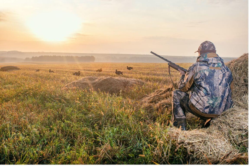 Summer Hunting Guide: Tips on Where to Go & How to Prepare