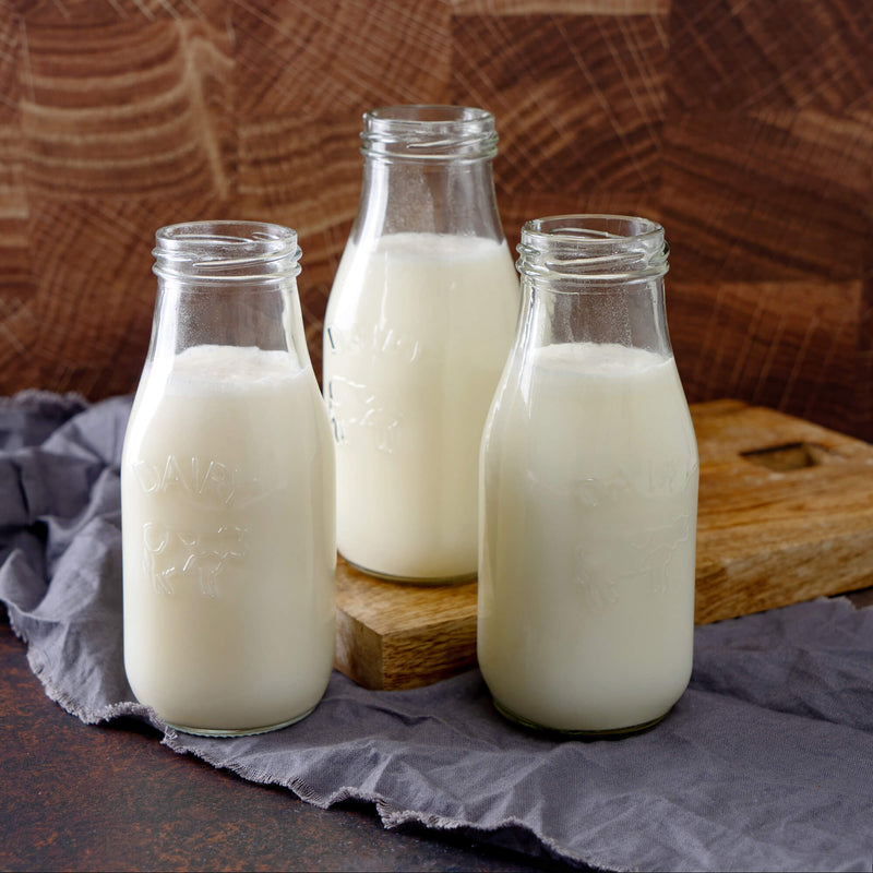 120 Servings Emergency Whey Milk Alternative  ReadyWise