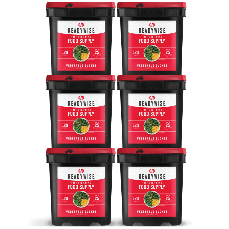 720 Serving Freeze Dried Vegetable Bundle  ReadyWise