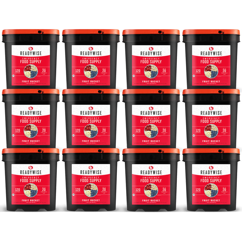 1440 Serving Freeze Dried Fruit Bundle  ReadyWise