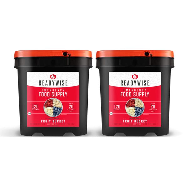 240 Serving Freeze Dried Fruit Bundle  ReadyWise