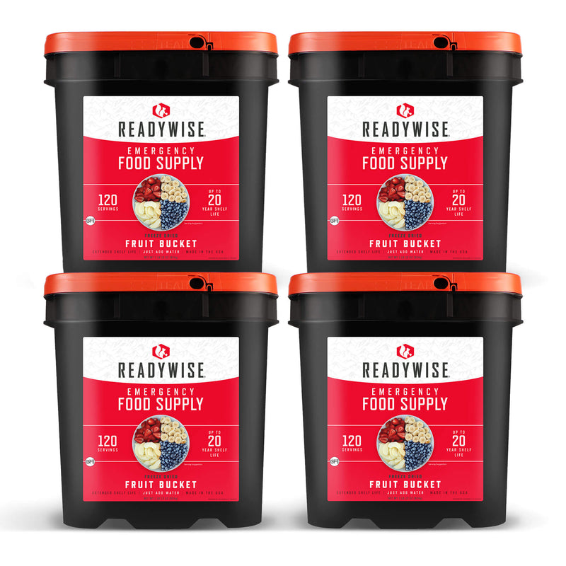 480 Serving Freeze Dried Fruit Bundle  ReadyWise