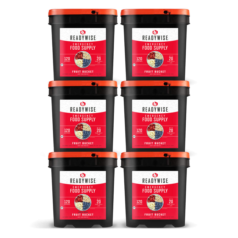 720 Serving Freeze Dried Fruit Bundle  ReadyWise