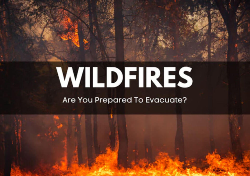 Wildfire Season Is Here- Are You Prepared?