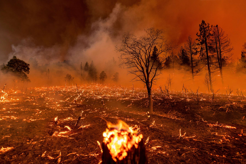 California Wildfires Rage On: Devastation, Evacuations, and Emergency Response