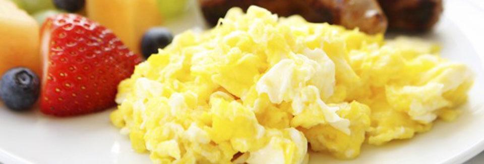 The Long Shelf Life of Powdered Eggs: An Essential Survival Food