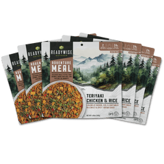 Teriyaki Chicken and Rice Casual Camper