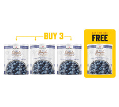 Buy 3, Get 1 Free - Freeze-Dried Whole Blueberries