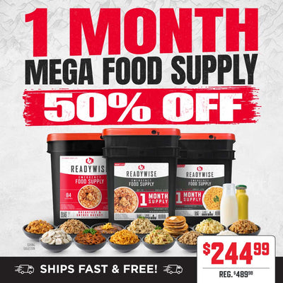 1 Month Mega Food Supply