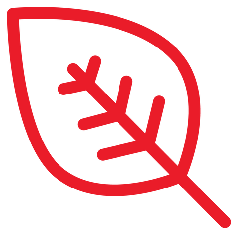 Image of footer-image