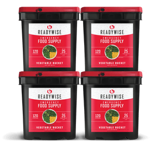 480 Serving Freeze Dried Vegetable Bundle - ReadyWise